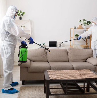 Hoarder and Extreme Cleaning